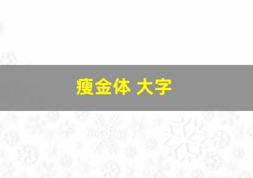 瘦金体 大字